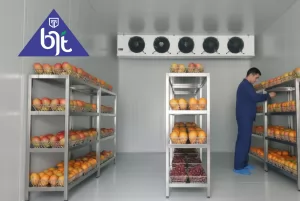 SOLUSI MESIN PENDINGIN COLD STORAGE DI JAKARTA